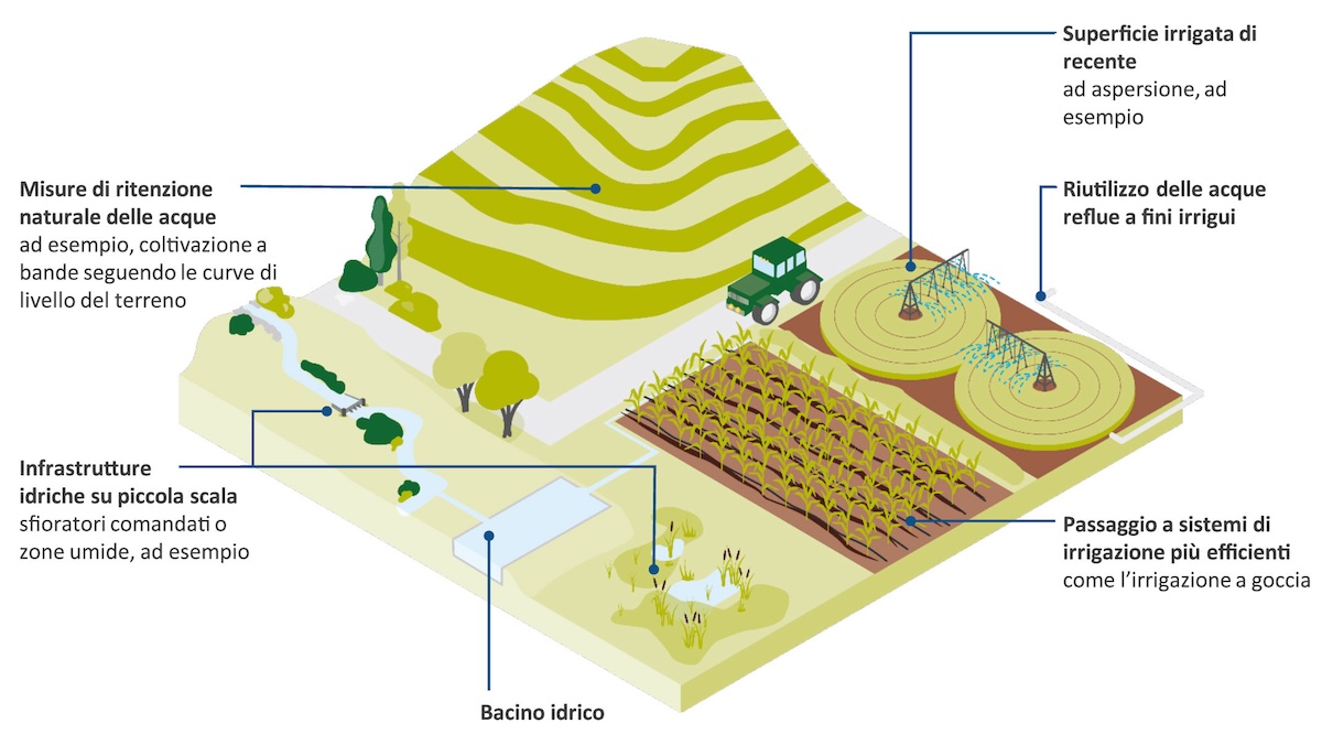 Pratiche agricole e investimenti per un utilizzo virtuoso della risorsa idrica